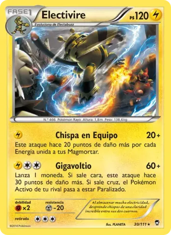 Electivire · 30