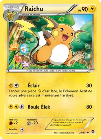 Raichu · 28