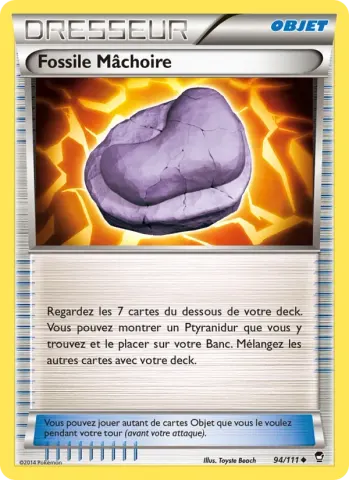 Fossile Mâchoire · 94