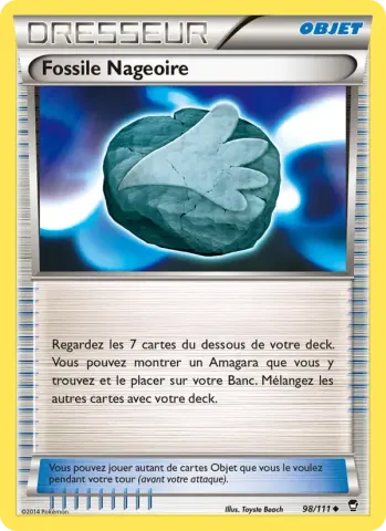 Fossile Nageoire · 98