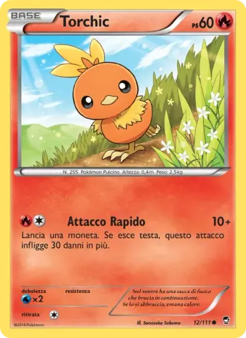 Torchic · 12