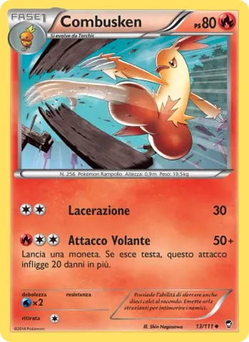 Combusken · 13