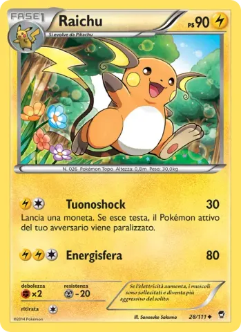 Raichu · 28