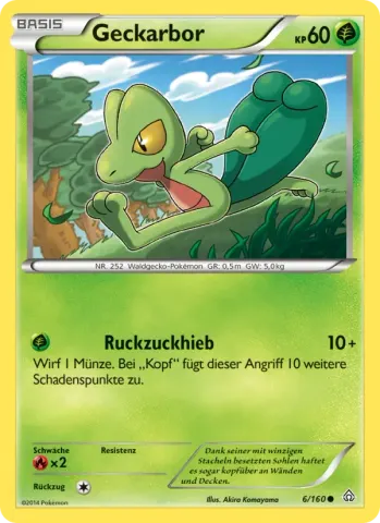 Geckarbor · 6