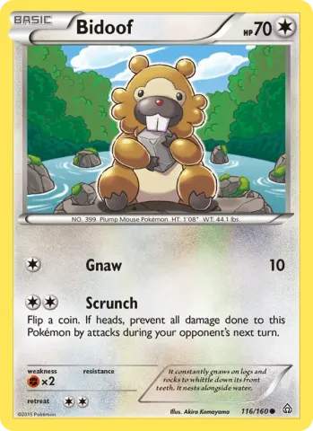 Bidoof · 116