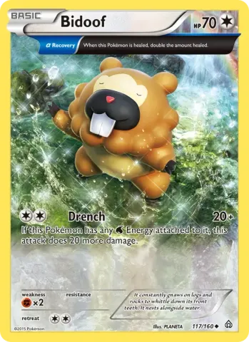 Bidoof · 117