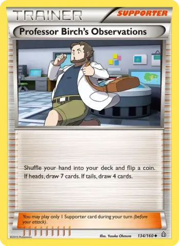 Professor Birch's Observations · 134