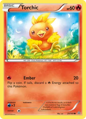 Torchic · 25