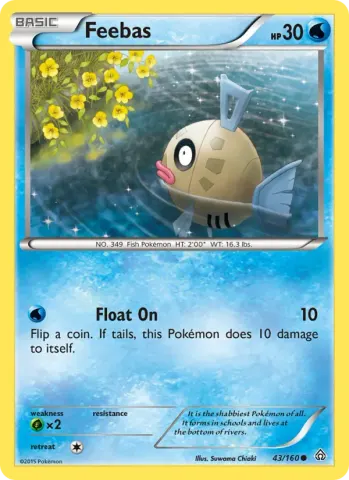 Feebas · 43
