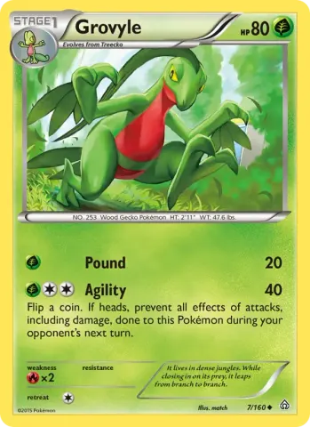 Grovyle · 7