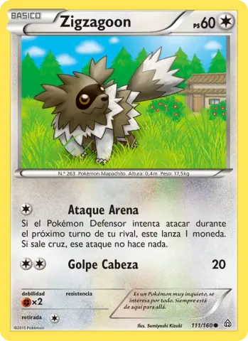 Zigzagoon · 111