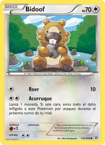 Bidoof · 116