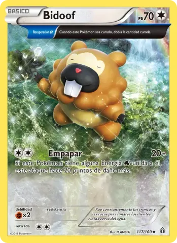 Bidoof · 117