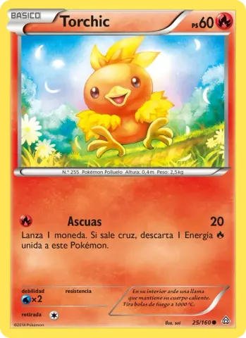 Torchic · 25