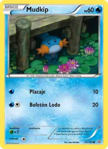 Mudkip · 33