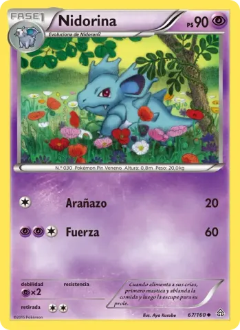 Nidorina · 67