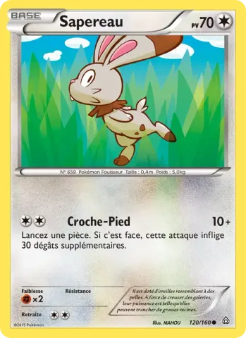 Sapereau · 120