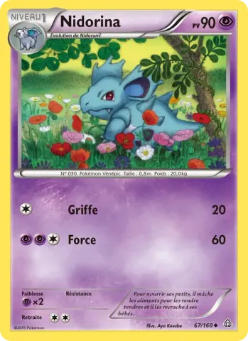 Nidorina · 67