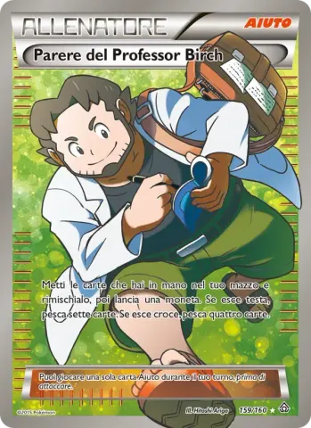 Parere del Professor Birch · 159