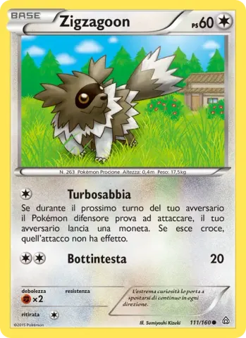Zigzagoon · 111