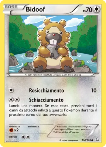 Bidoof · 116