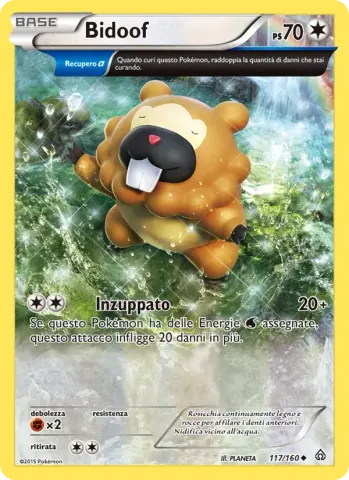 Bidoof · 117