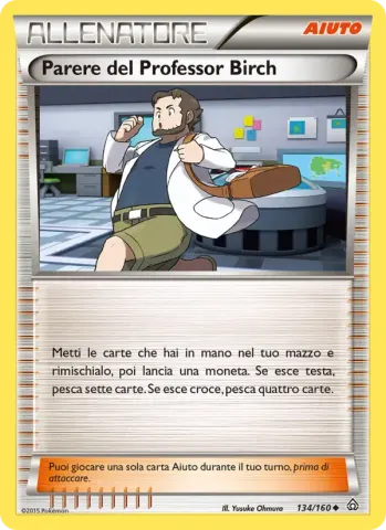 Parere del Professor Birch · 134