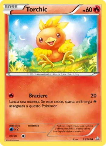 Torchic · 25