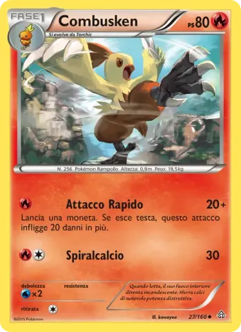 Combusken · 27