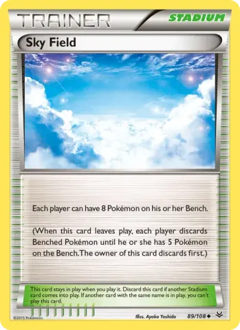 Sky Field · 89