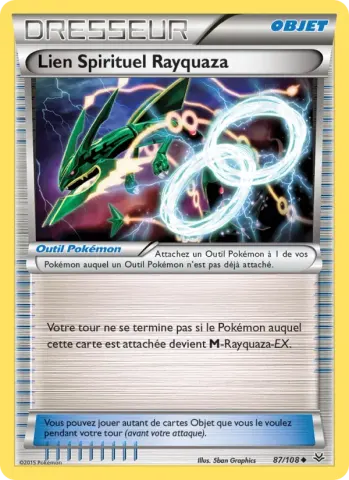 Lien Spirituel Rayquaza · 87