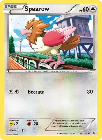 Spearow · 65