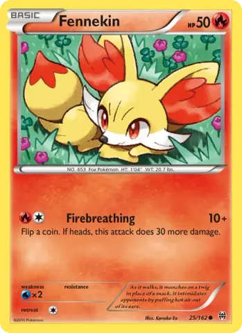 Fennekin · 25