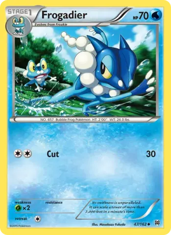 Frogadier · 47
