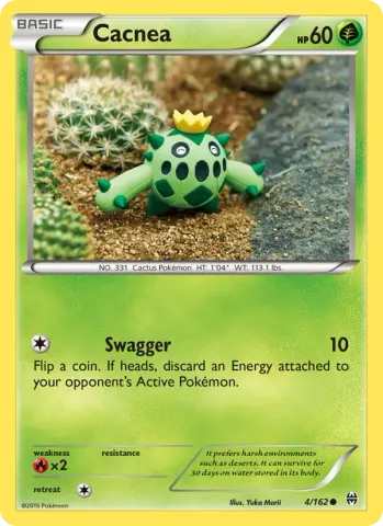 Cacnea · 4