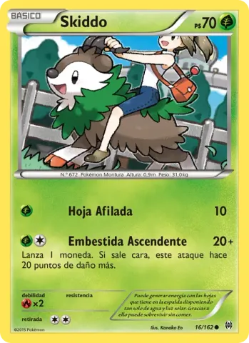Skiddo · 16