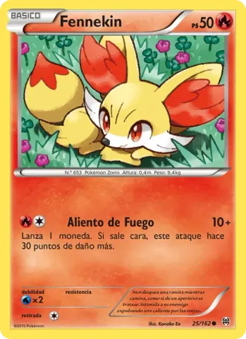 Fennekin · 25