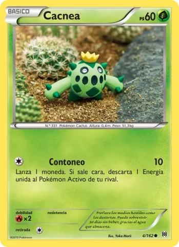 Cacnea · 4