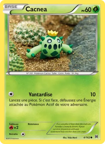 Cacnea · 4