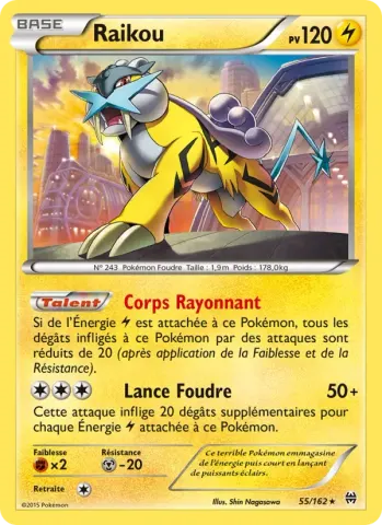 Raikou · 55