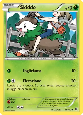 Skiddo · 16