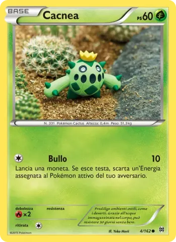 Cacnea · 4