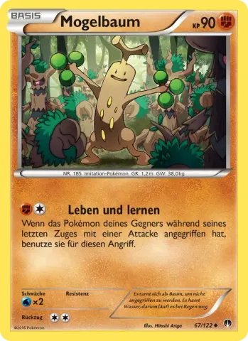 Mogelbaum · 67