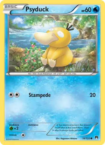 Psyduck · 16