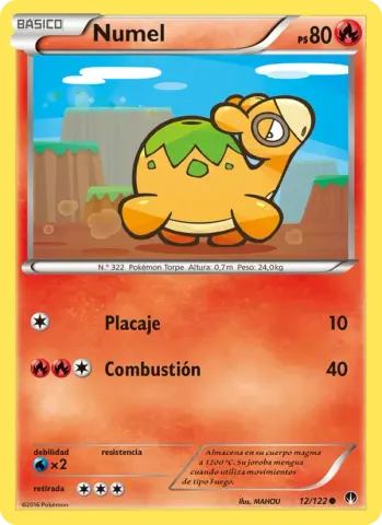 Numel · 12