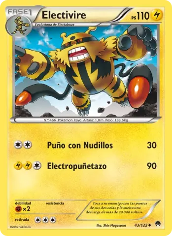 Electivire · 43