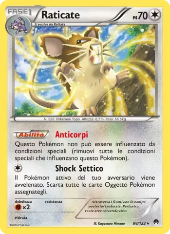 Raticate · 88