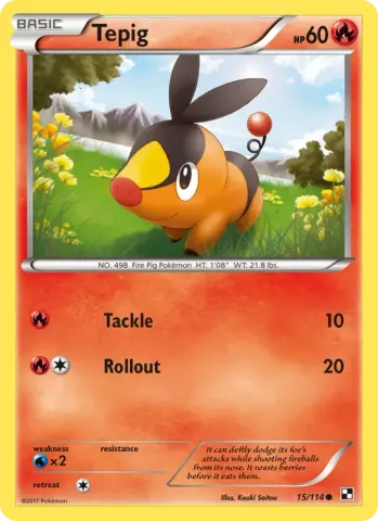 Tepig · 15