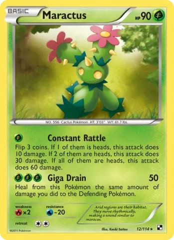 Maractus · 12
