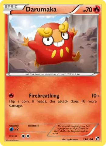 Darumaka · 23